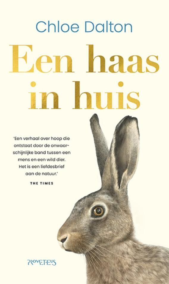Een haas in huis