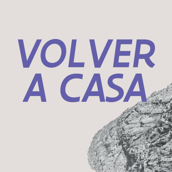 Volver a casa